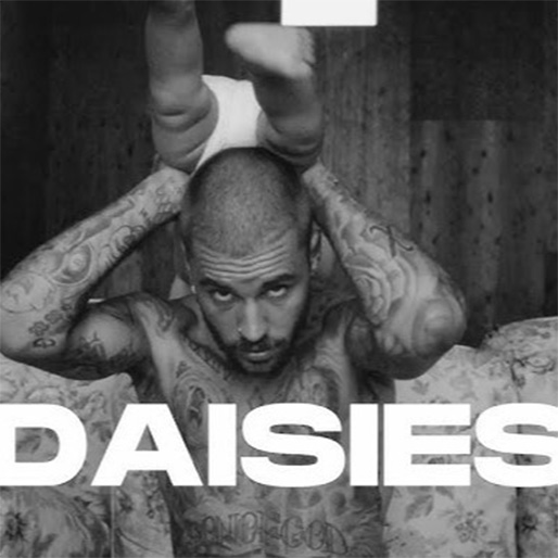 DAISIES